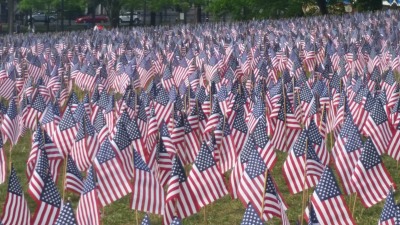 BostonCommonMemDay2016Flags