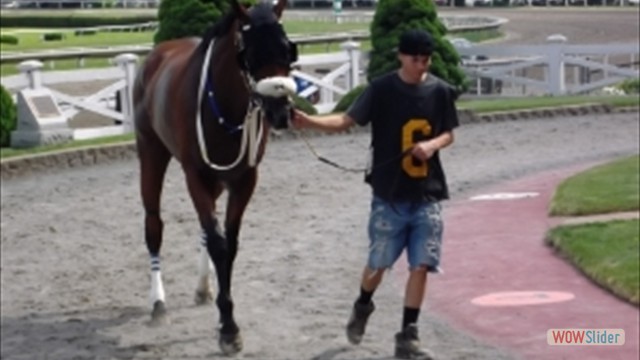 The Last Saturday of Live Racing Ever: What We Saw at Suffolk Downs