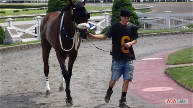 SuffolkDowns2019-0629-HorseREVIEWEDNumber6HorseRACE