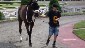 The Last Saturday of Live Racing Ever: What We Saw at Suffolk Downs