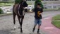 SuffolkDowns2019-0629-HorseREVIEWEDNumber6HorseRACE